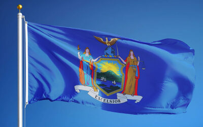 Basics of Creating a Non-Profit Organization (NPO) in New York State