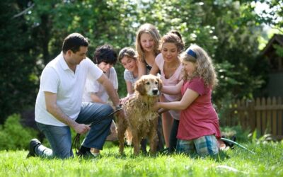 Basics of Estate Planning