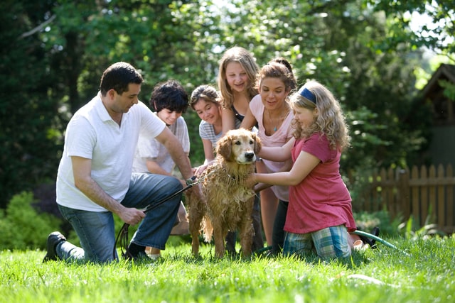 Basics of Estate Planning