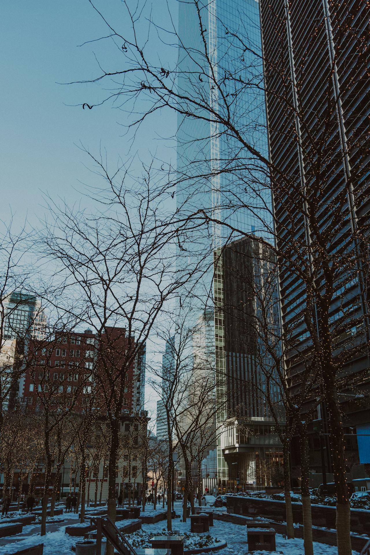 pexels-renantaglia-31687308